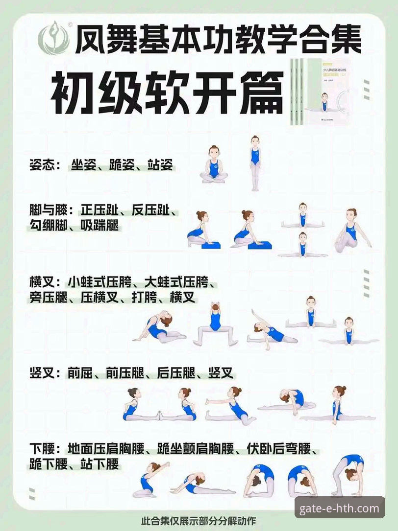 华体会体育平台新手入门与操作详解